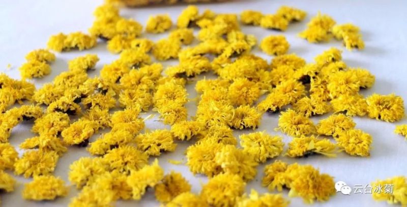 2018，種下希望，靜待花開！